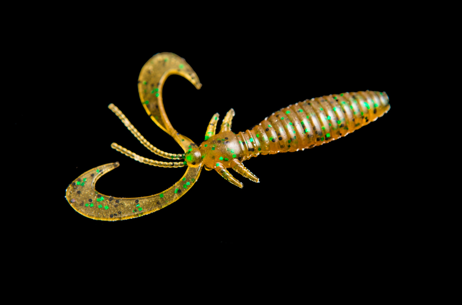 EARWIG