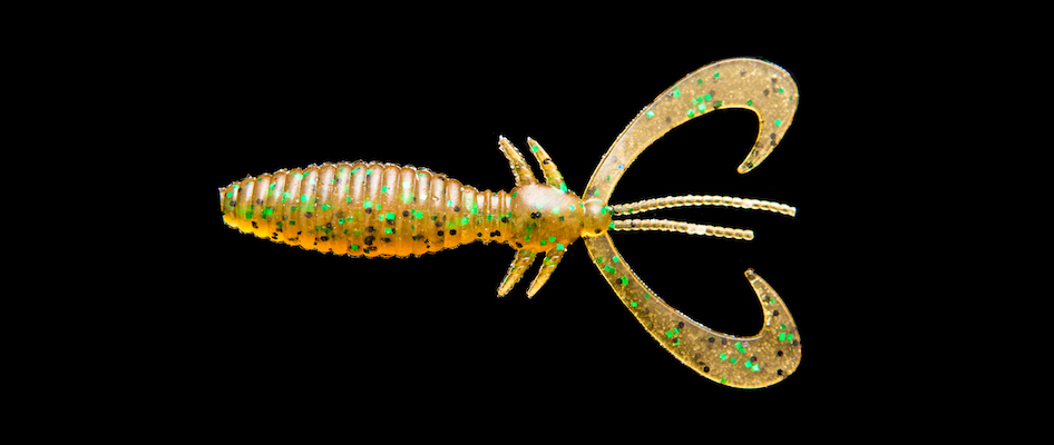 EARWIG