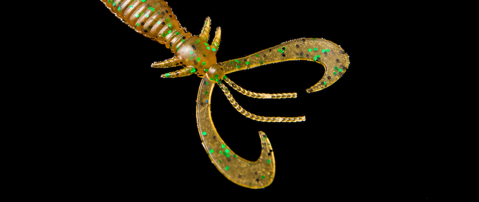 EARWIG