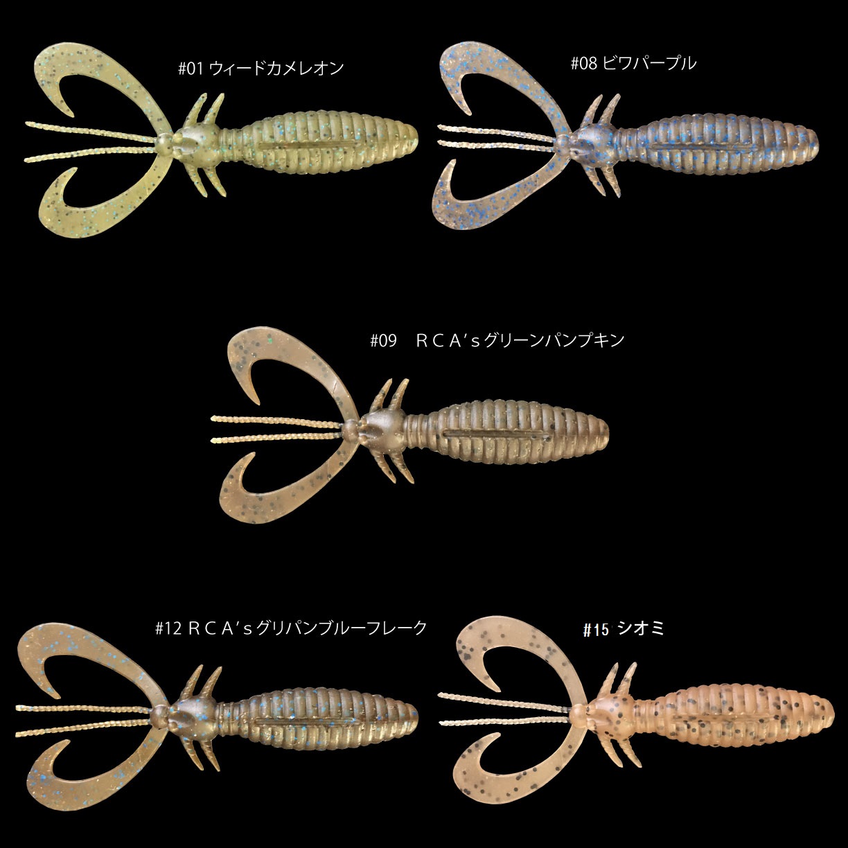 EARWIG