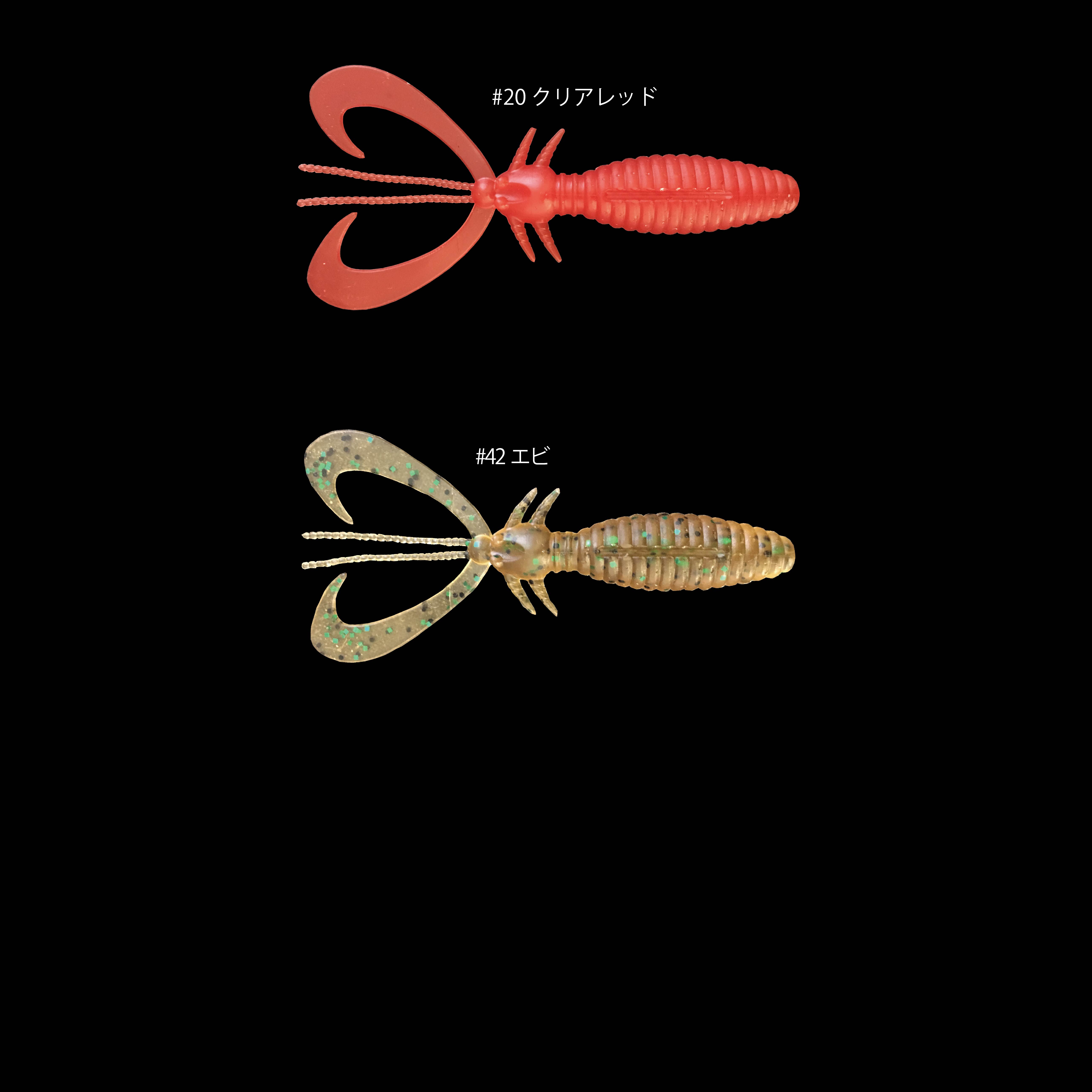EARWIG