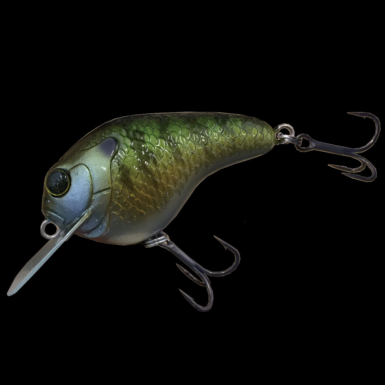 GILLBOKKURI