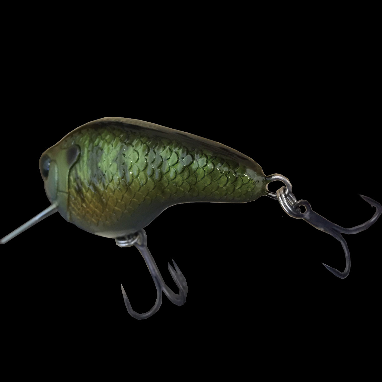 GILLBOKKURI