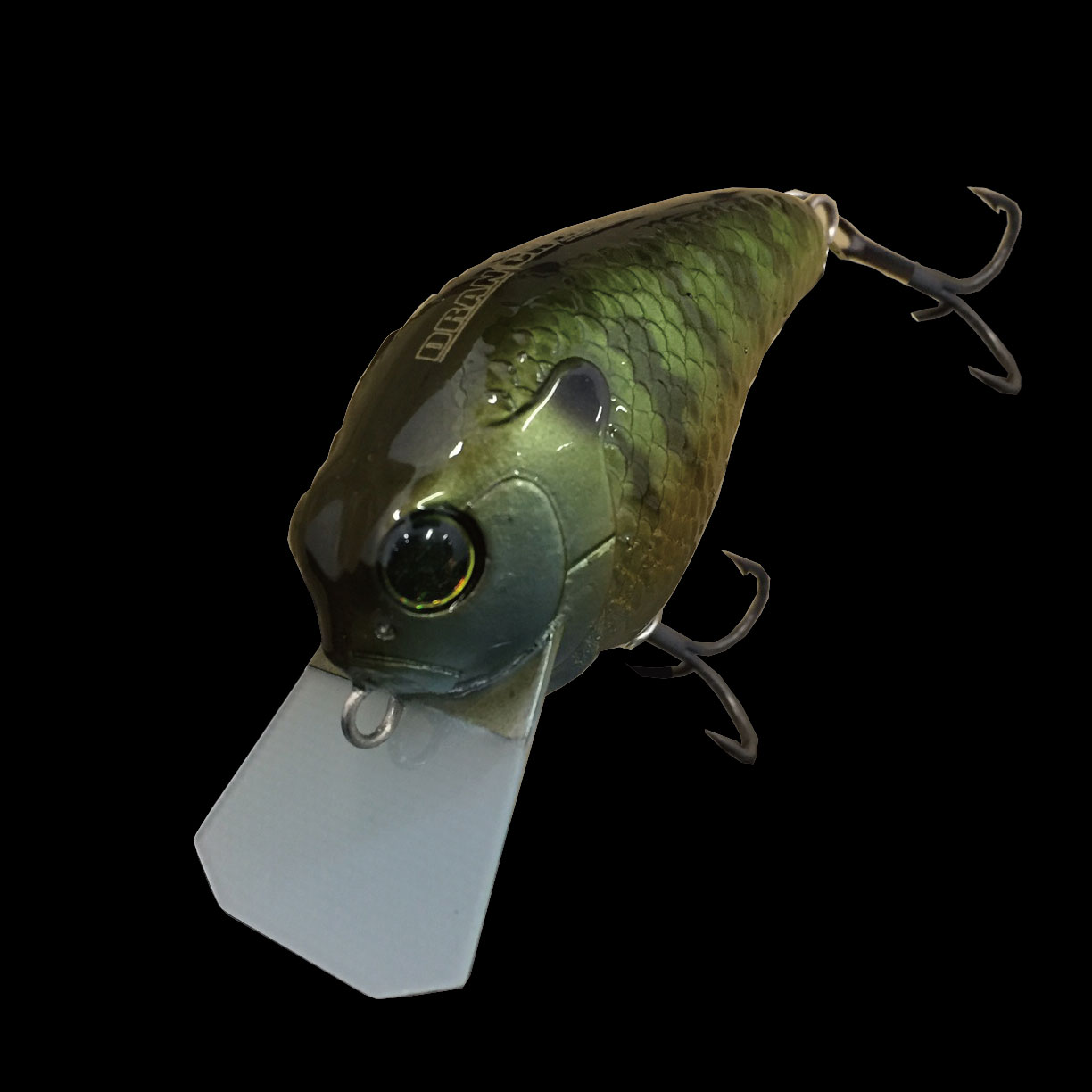 GILLBOKKURI