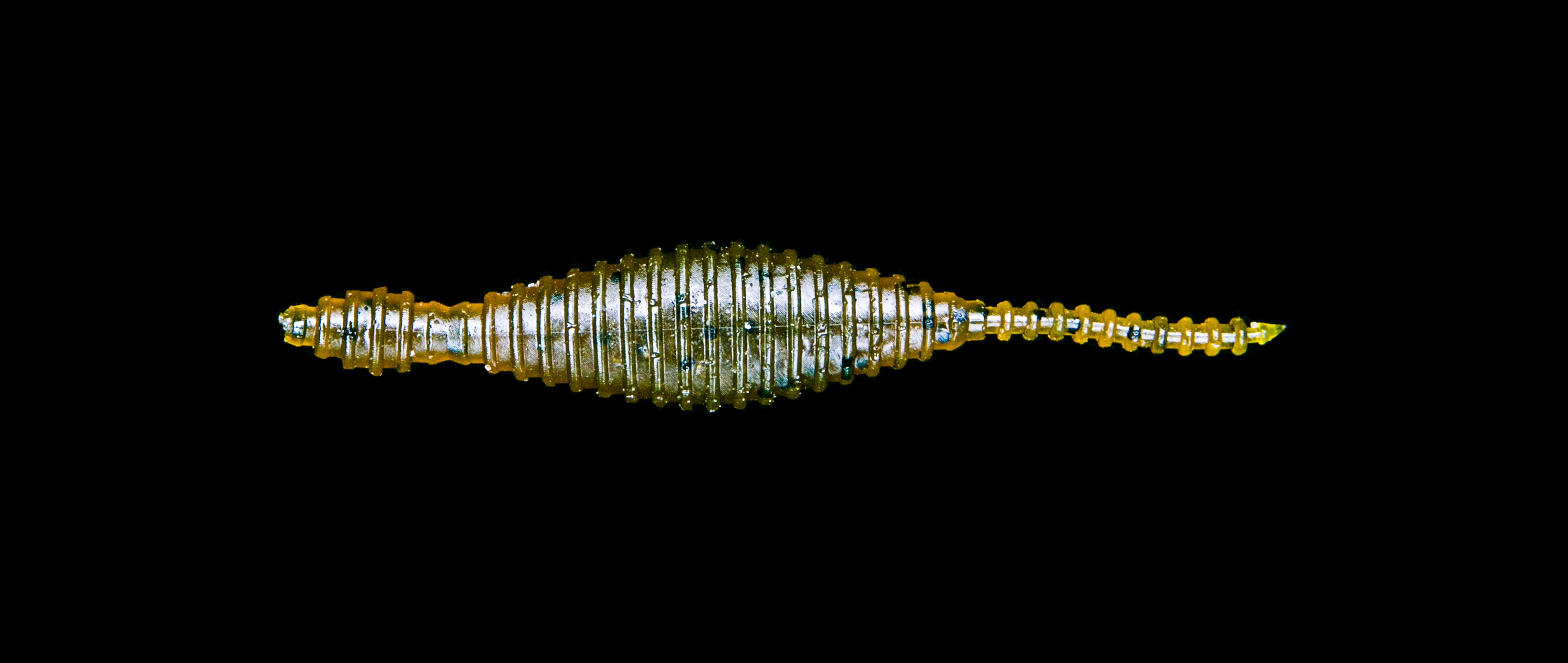 TSUCHINOKO
