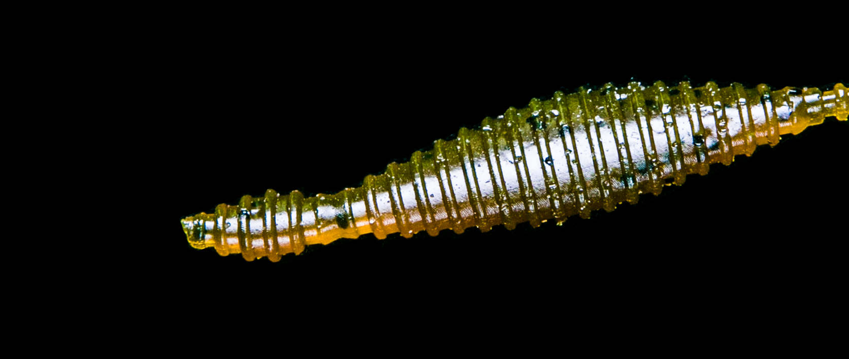 TSUCHINOKO