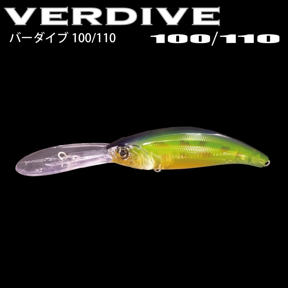 VERDIVE100/110