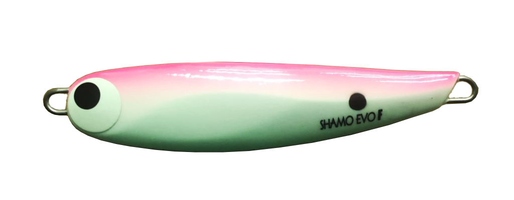 SHAMO EVO F