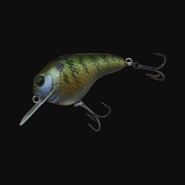 GILLBOKKURI