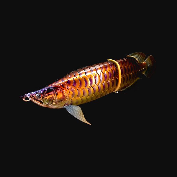 皇 SUMERAGI
