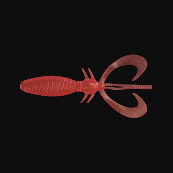 EARWIG SW